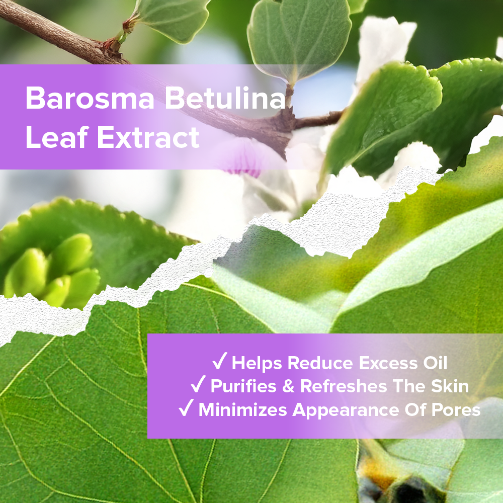 Mist + Fix It Setting Spray - MST001