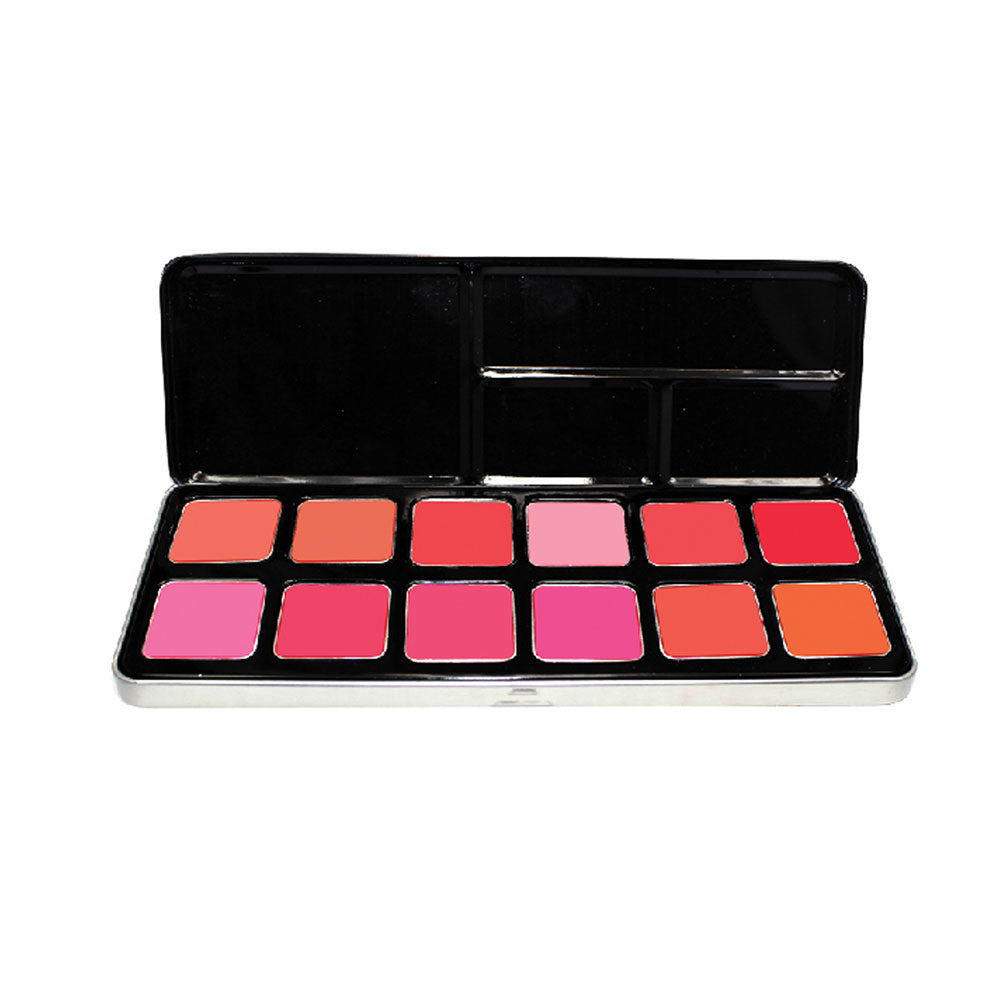 12 COLOR LIPSTICK PALETTE